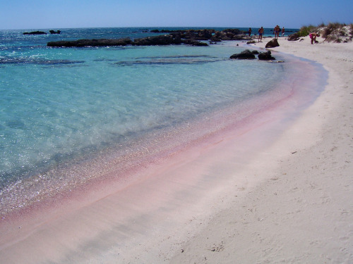 Porn Pics sixpenceee:  Elafonisi Beach located in Crete,