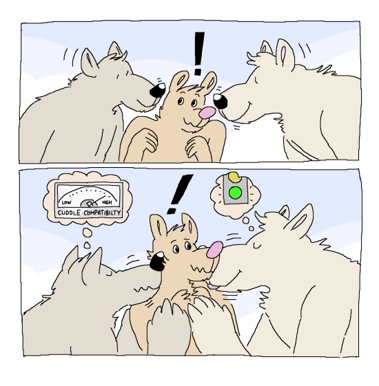 The wolves outside
