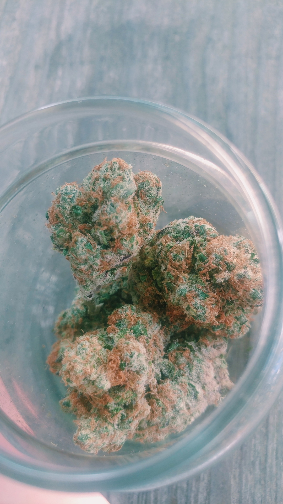 rubsta:  I just wanna roll this into a blunt with you 4.10.18.