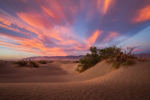 amazinglybeautifulphotography:110 degrees at sunset. Mesquite Flat Sand Dunes, Death Valley National