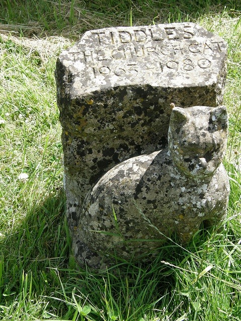 Grave of Tiddles the church cat in Fairford adult photos