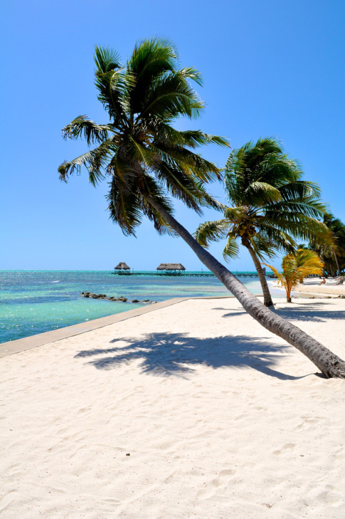 breathtakingdestinations:San Pedro Town - Belize (by - Adam Reeder -) 