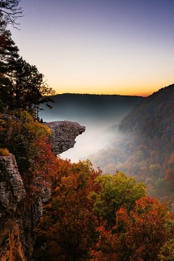 ponderation:  The Splendour of Fall by Ben Cavazos  