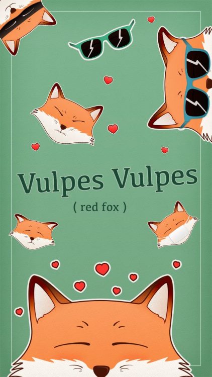 Stickers for iOS 10 of a cute Vulpes Vulpes ( red fox ) made by my human friend @squirrelfap