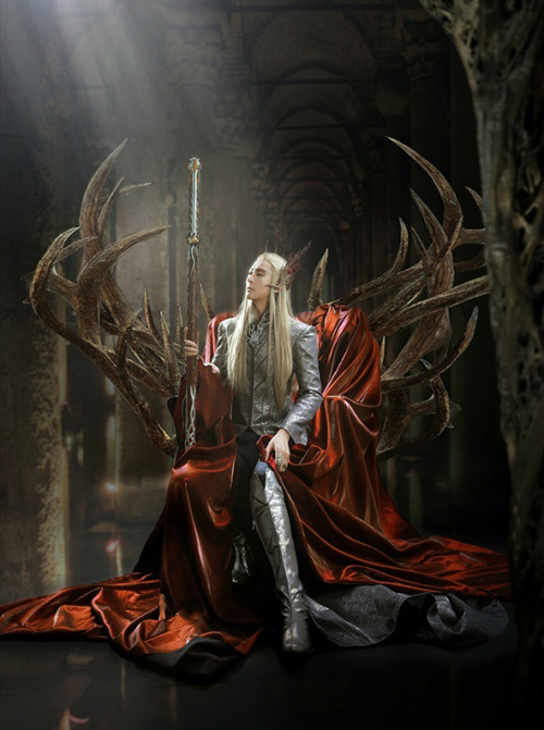 eternal-dannation: cosplaychina: The Hobbit | Thranduil by @coser小梦 | Stuff  @Bingo酱 @章鱼的陶