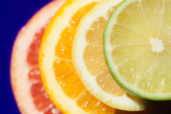 glophotography:  Citrus Grapefruit, orange,