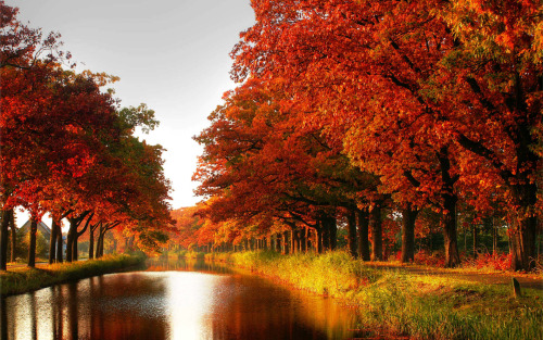 negativelyoptimistic:  People need to appreciate the true beauty of nature.