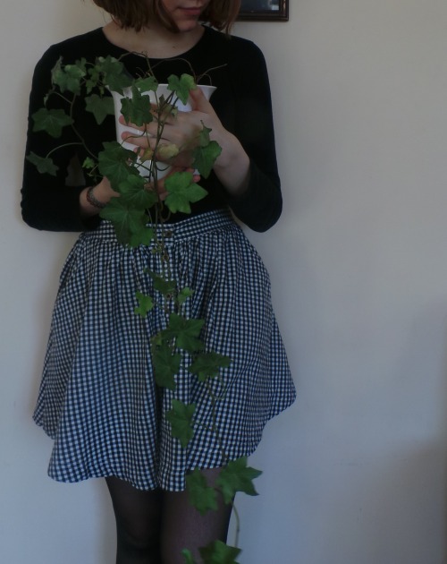 stefanysite:  RIP this plant :/ 