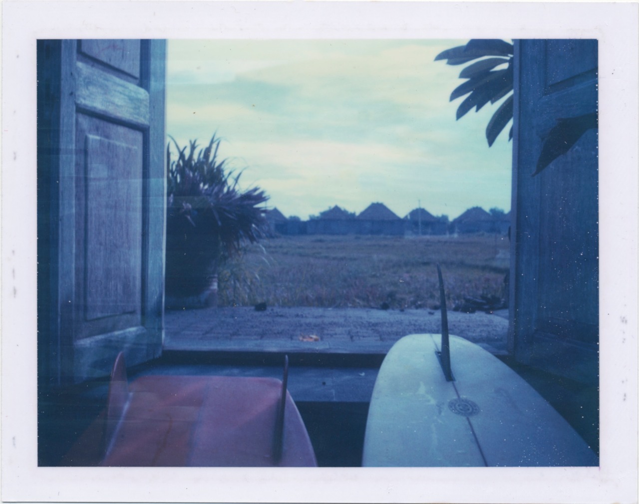 shakasandsinglefins:  Canguu, 2013 