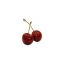cherry-s-bsd-fan-account