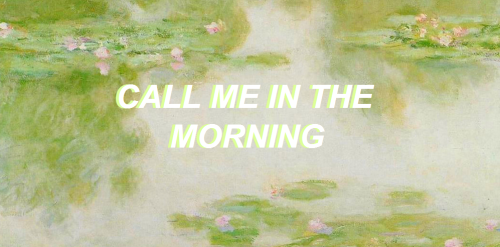 90milebeach:ayatollah // catfish and the bottlemen~claude monet;; water lilies~