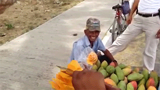 nientiend0:  oaxacan:  herparacosm:  kingpushatits:  sizvideos:  Great mango cutting
