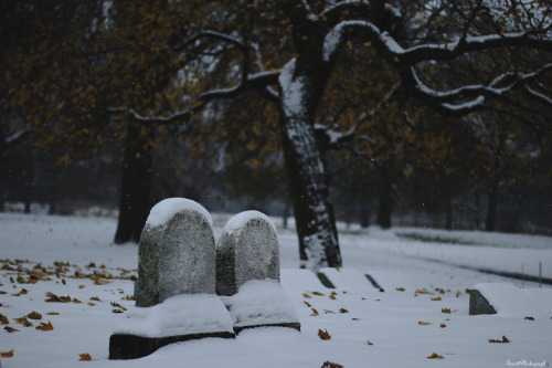 garettphotography:Graceland Cemetery | GarettPhotography