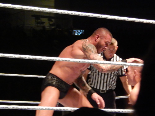 Porn photo warblgarbl4lyf:  WWE live in Toronto pt 5