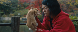 fussyconcussy:  fennist:  brand-upon-the-brain:  Kumiko, the Treasure Hunter (David Zellner, 2014)\goodbyes haunt me  this looks like modern umberto di except with a rabbit  error-of-universe