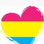 the3rdpansexualpanda