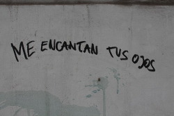 siempre-es-inoportuno-amar:  v0-devil:  giorgianolml:  Me alegran el dia,la semana,el mes,el año,la vida.  Tus hermosos ojos gigantes &lt;3  Y tu mirada.