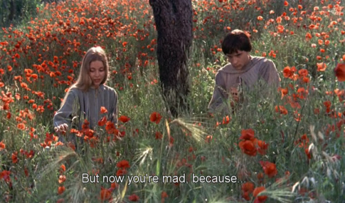 freshmoviequotes:Brother Sun, Sister Moon (1972)