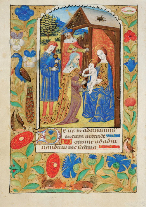 The Adoration of the MagiLate follower of Robert Boyvin (French; active early 16th century)Leaf from