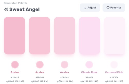 Sweet Angel Noisette