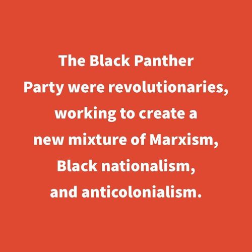 “Black struggle in the United States has the potential to develop anti-capitalist, revolutionary con
