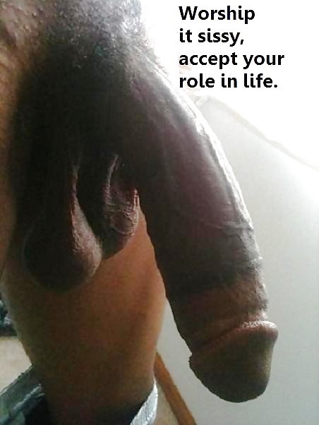sissylivia:  Sissies will appreciate these fine BBC!