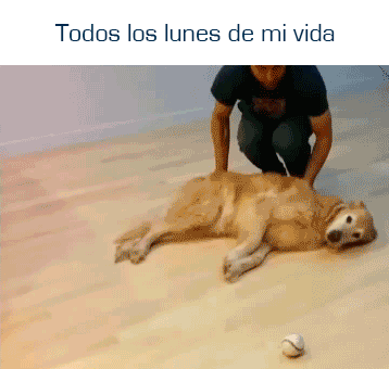 Respira el Momento