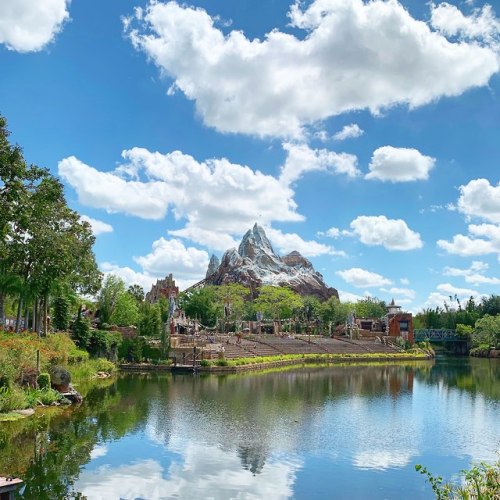 Disney’s Animal Kingdom.