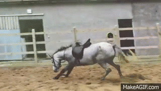 equine-awareness: There are better ways to start a horse than to just throw on the