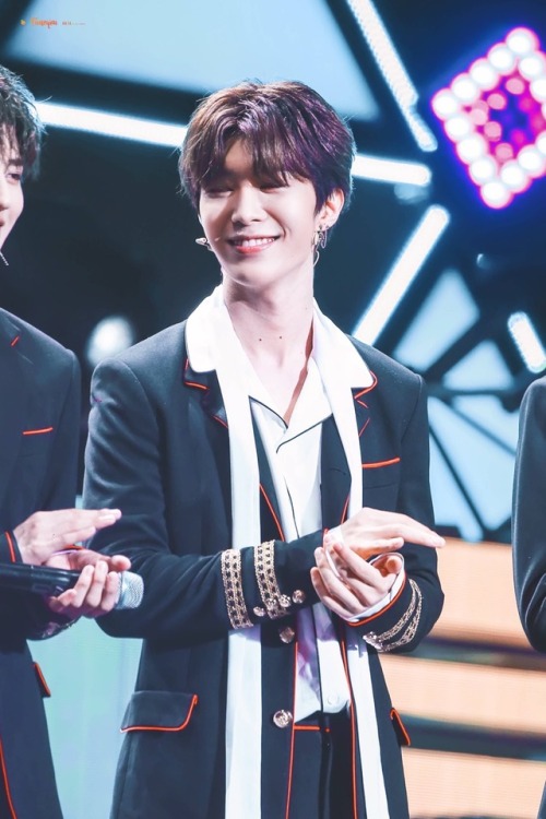 Fan ChengCheng