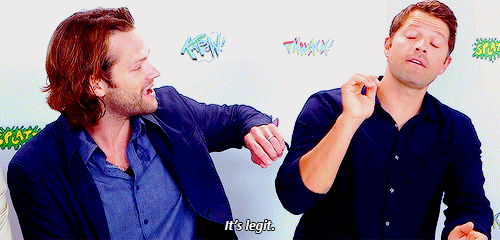 aborddelimpala:  starsmish:  Do not touch me! We are all Jared (●´∀｀●)