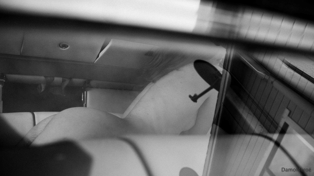 damomeroe:  Exposed Kyoto Cat@kyotocat