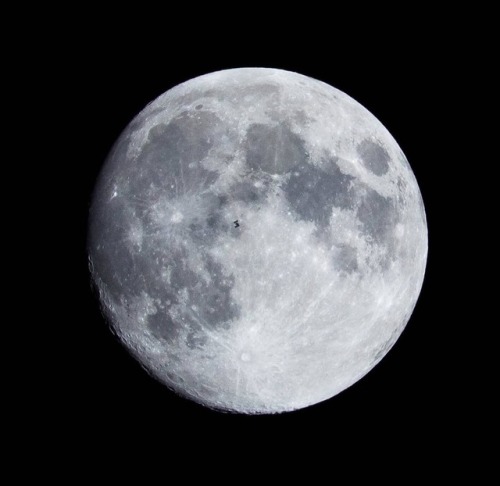 dreamsofawakening:ISS transit moon. Credit: @smootherpebbles