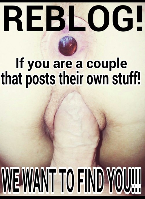 bulllookingforfuncouples: I am a hung bull looking for couples to play with. ;) follow me
