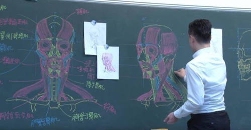 tenderlysweettoday:  sixpenceee:   Taiwanese illustrator and instructor Chuan-Bin Chung  crafts accurate and artistic anatomical forms of muscle and skeleton for his class.  Fantastic artist! 
