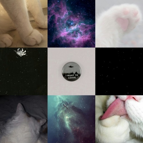 Space/catkin moodboard for anonymous Requests open!