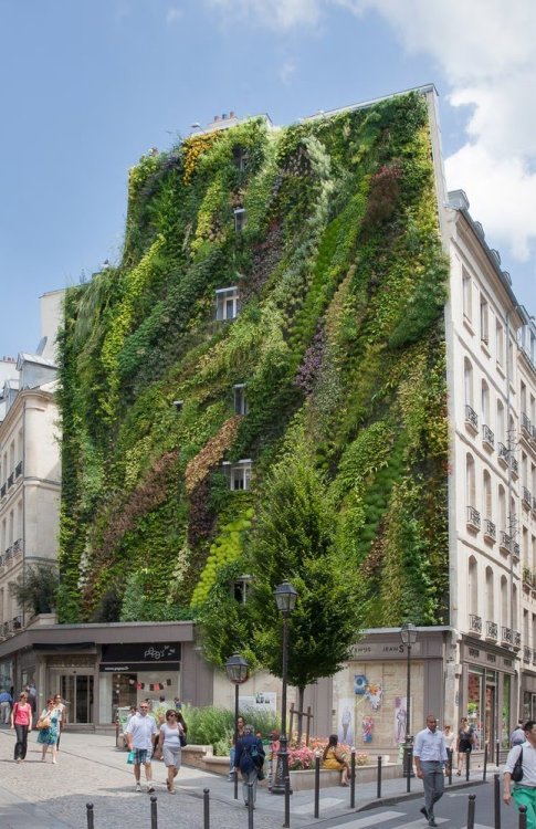 archatlas:Vertical Gardens Patrick BlancNobody is more familiar than Blanc with the secrets of the plants, from all over