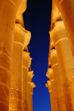 touchdisky:  Luxor temple | Egypt by DCI Photography
