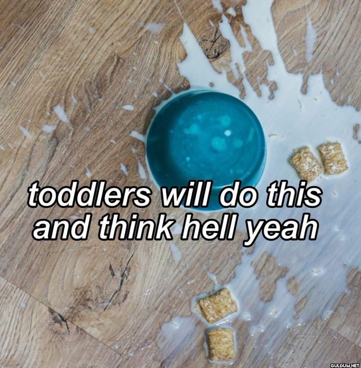 toddlers will do this and...