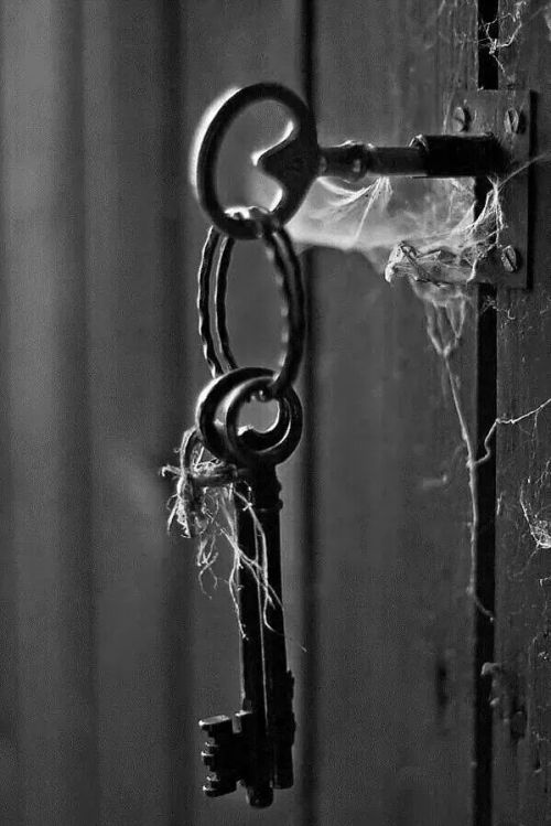 My Desires