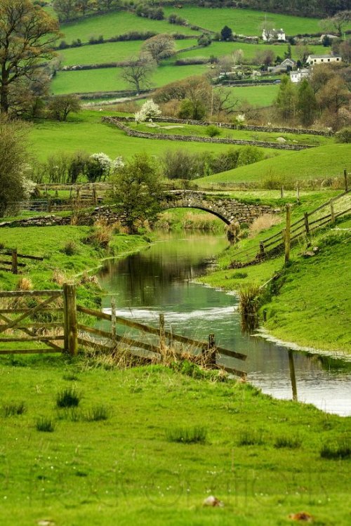 pagewoman:Lyth Valley, Lake District, Cumbria, Englandby flock of ghosts