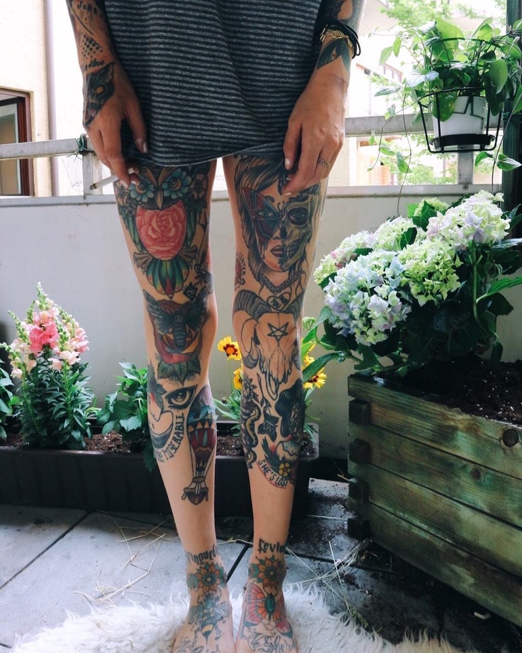 ✨