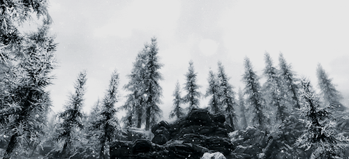 orsinivm:Snowy days