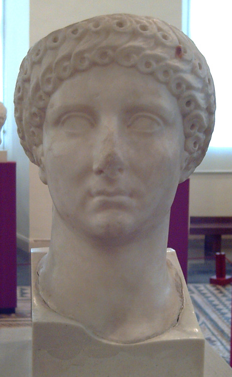 Agrippina the Elder- Enemy of the State or First Lady of Roman Politics?Although many people tend to