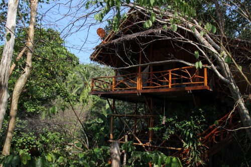 beonthewing:  Hotel Viking in jungles on Ko Phi Phi Don. February 2015.