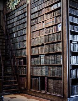 bonitavista:  Melk Library, Austriaphoto via jillag