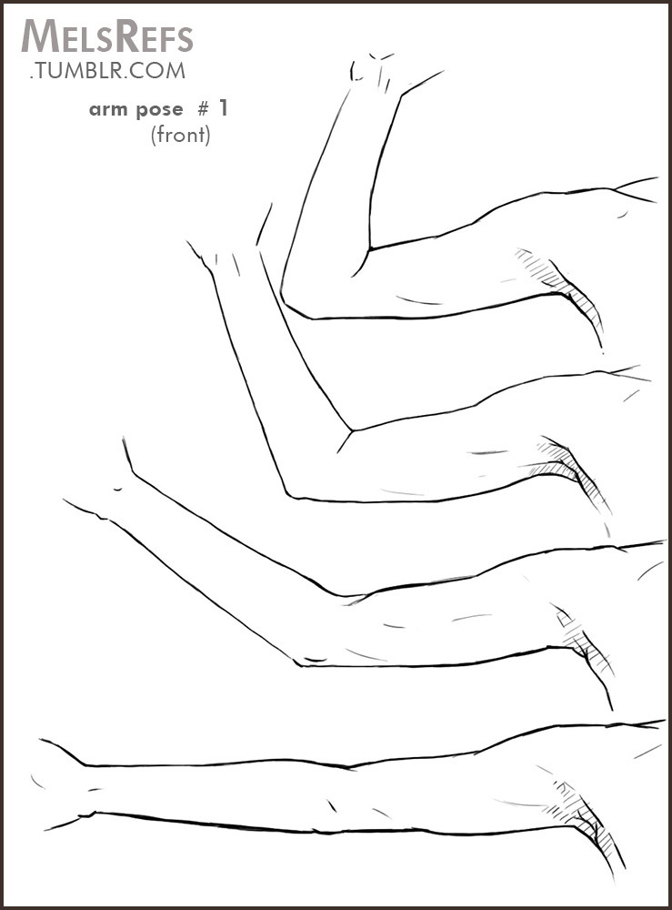 drawing references - Google Search | Life drawing, Arm anatomy, Anatomy for  artists