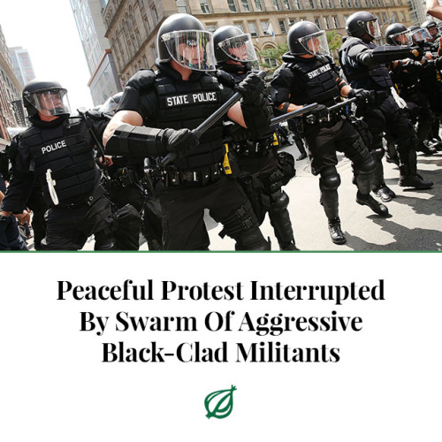 theonion:PHILADELPHIA—Quickly turning what had been an orderly demonstration into a violent melee, a