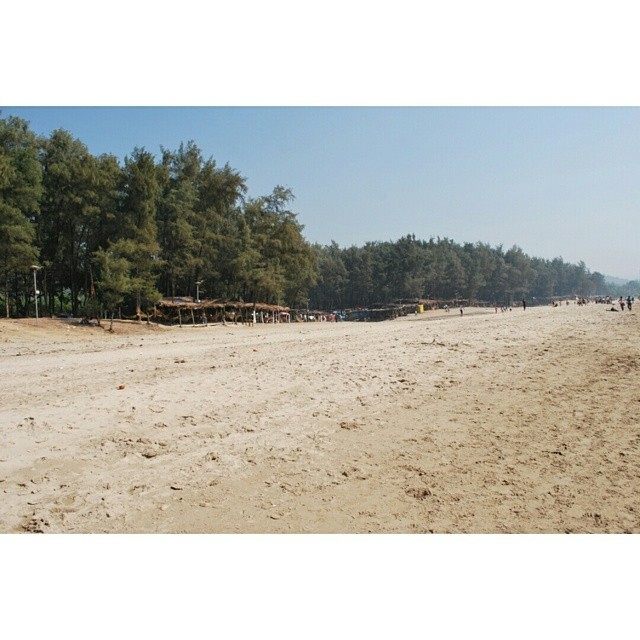 With it being world photography day and all, here’s a little slice of #india #vscoexplore #travel #beach #sand #latergram #nofilter #vscocam