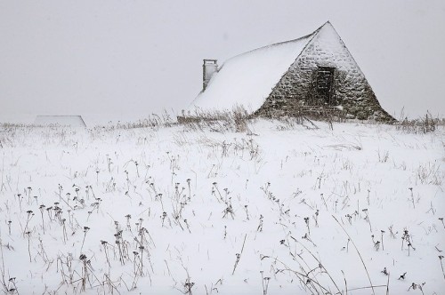 Christophe JacrotAubrac, France, 2019